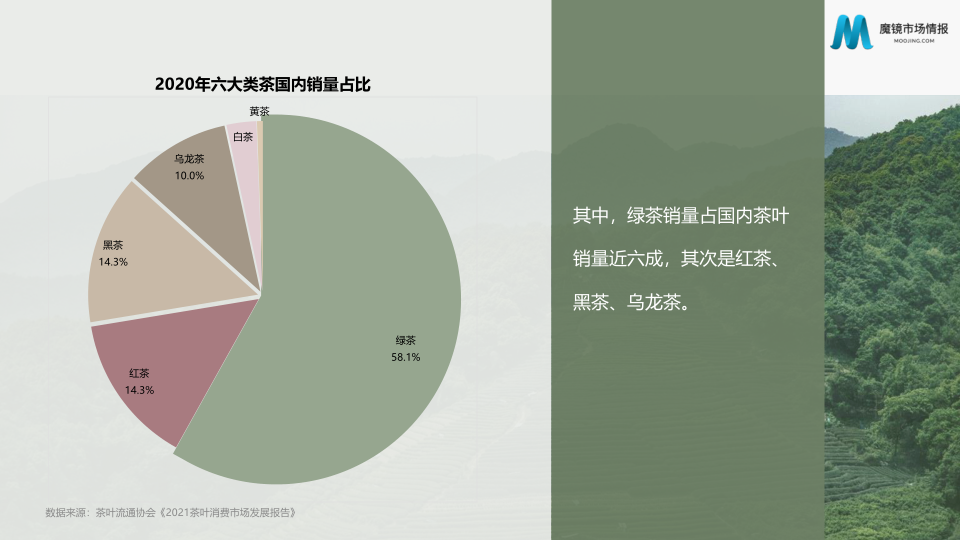 报告页面4