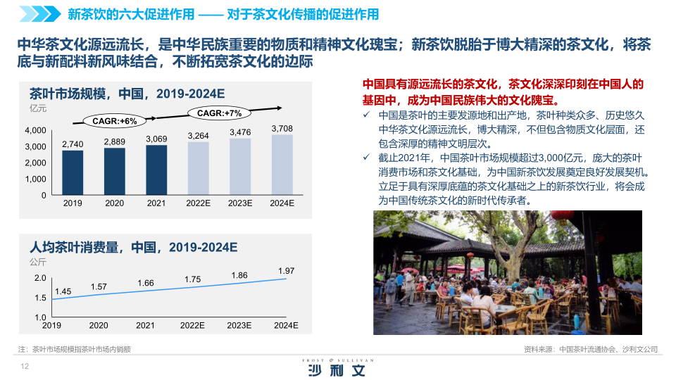 报告页面12