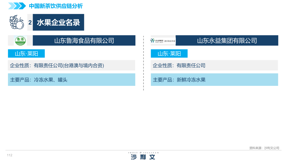 报告页面112