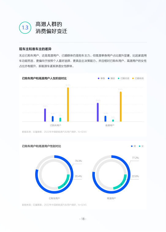 报告页面21