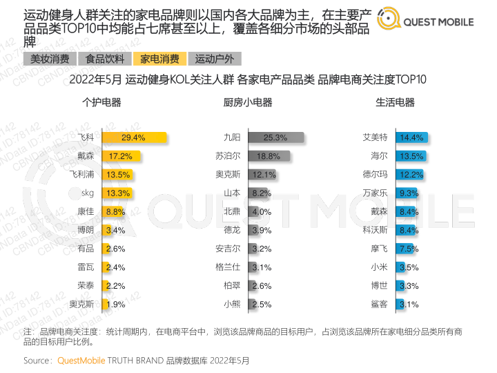 报告页面31