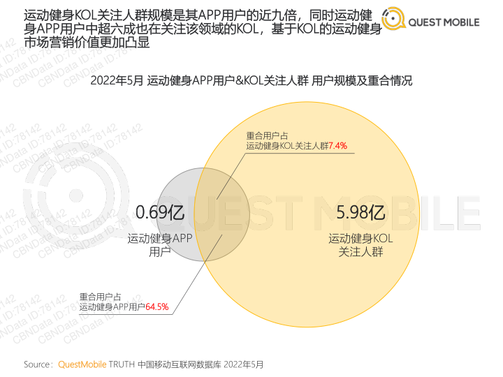 报告页面6