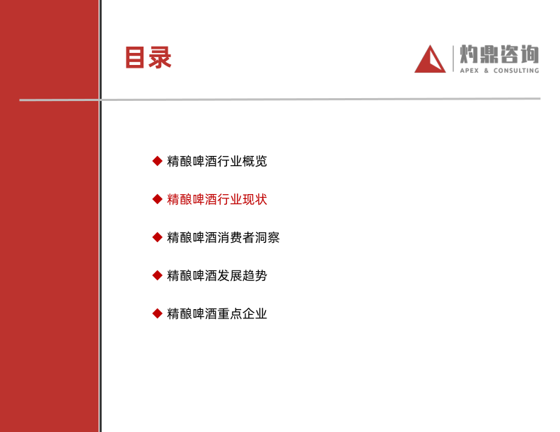 报告页面12