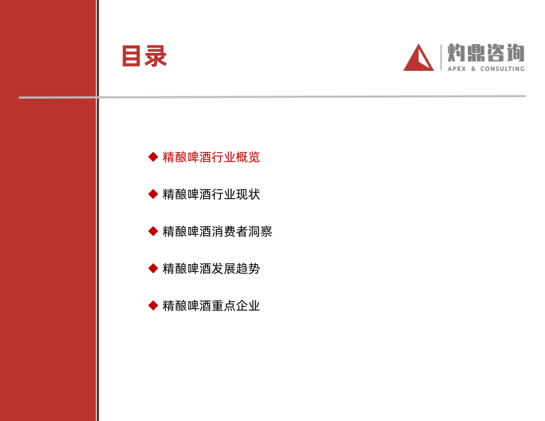 报告页面5