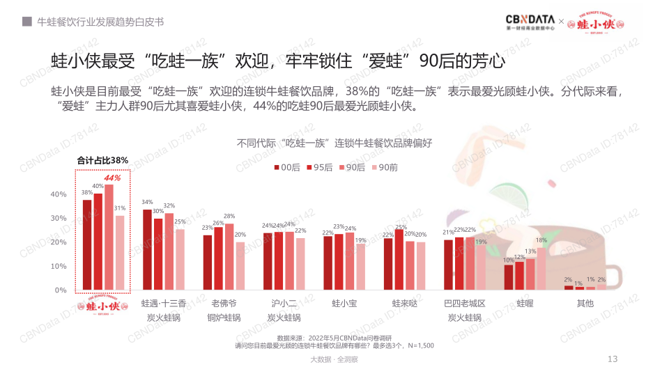 报告页面13