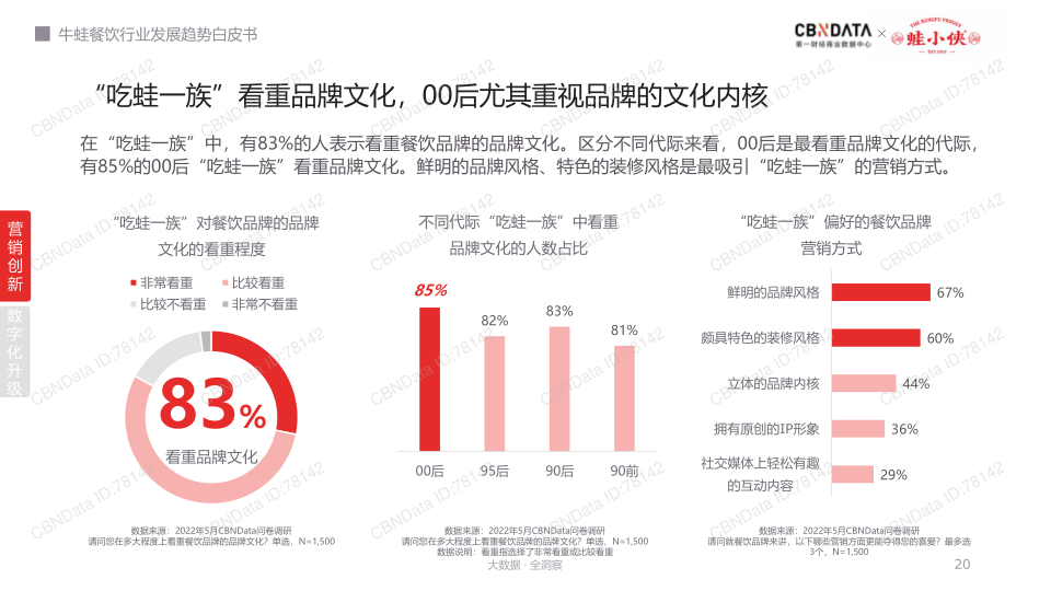 报告页面20