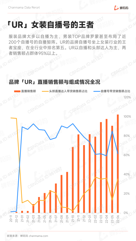 报告页面21