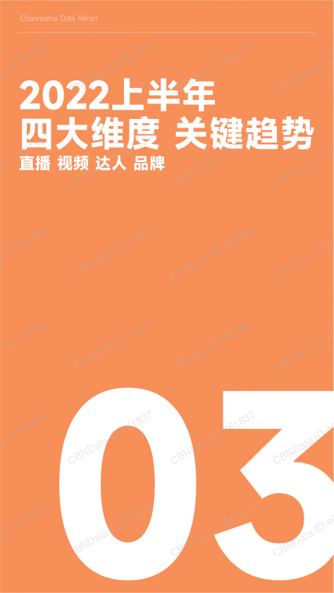 报告页面23