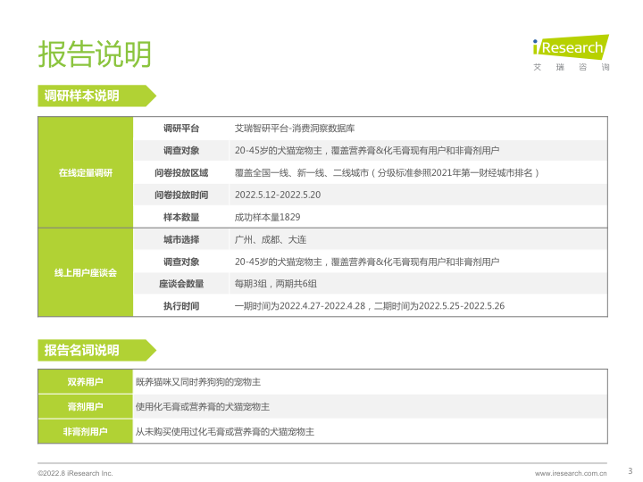 报告页面3