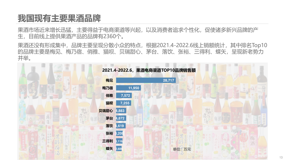 报告页面13