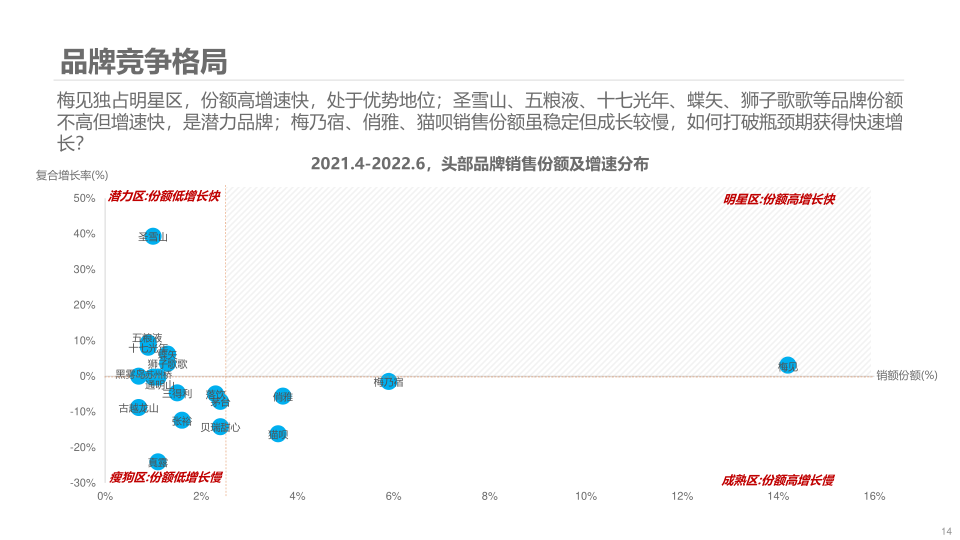 报告页面14