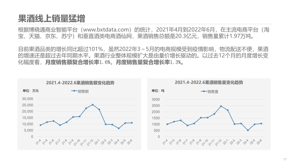 报告页面17