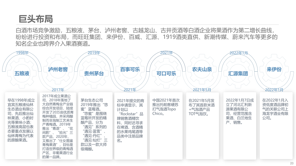 报告页面20