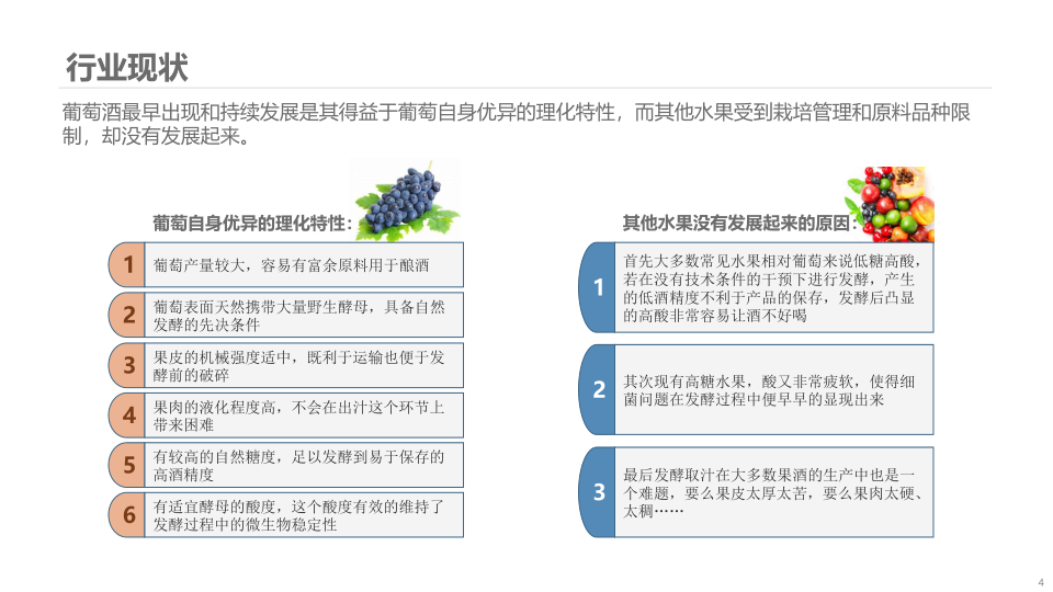 报告页面4