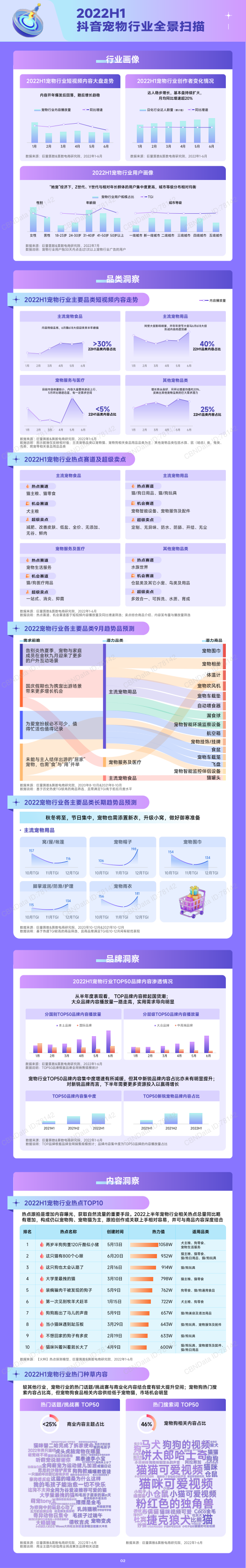 报告页面3