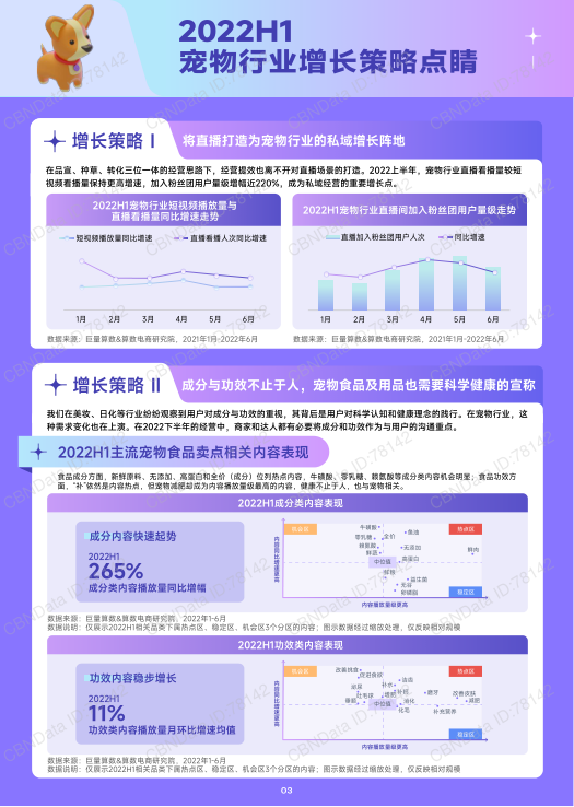 报告页面4