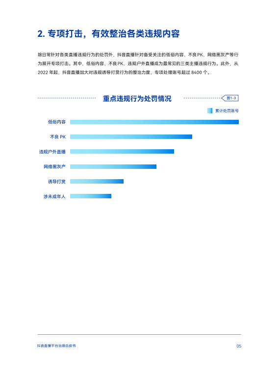 报告页面8