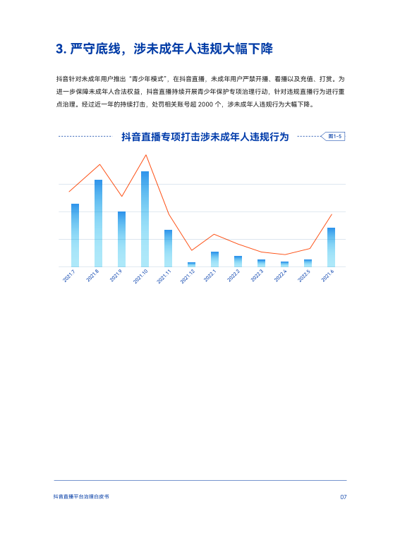 报告页面10