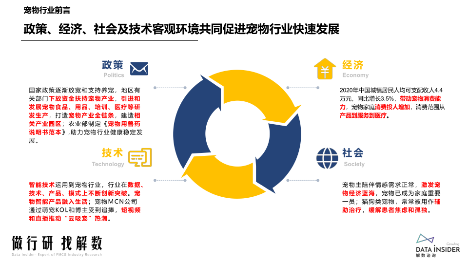 报告页面13