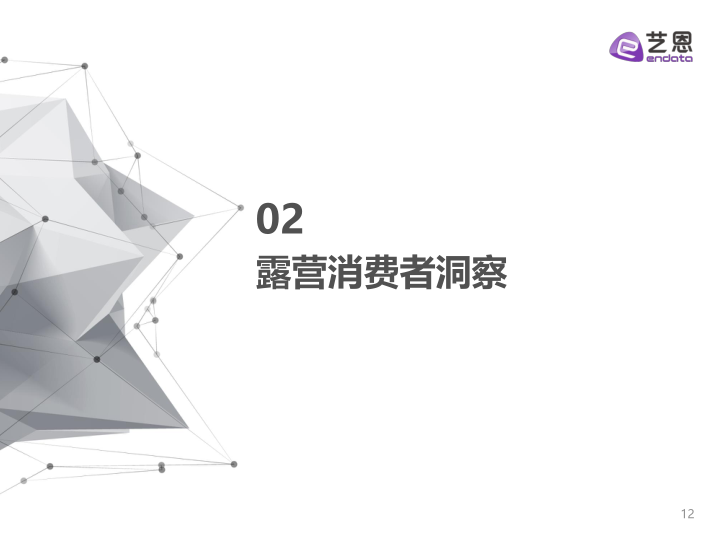 报告页面12