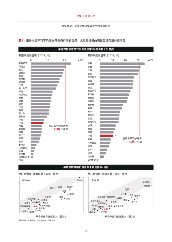 报告页面15