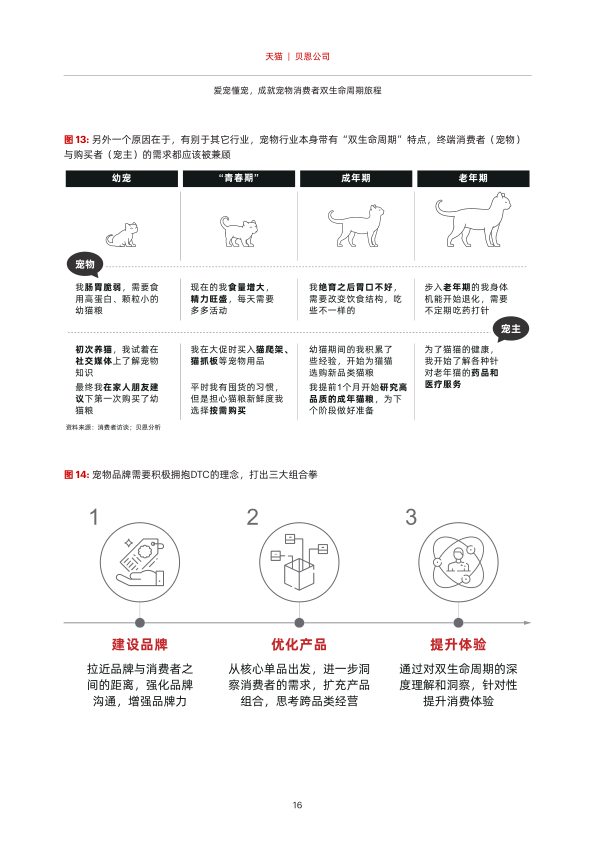 报告页面17