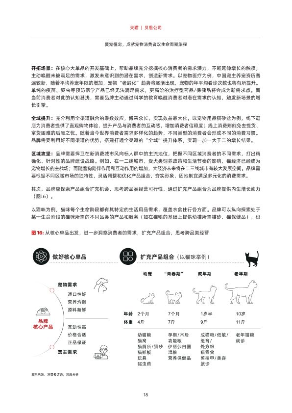 报告页面19