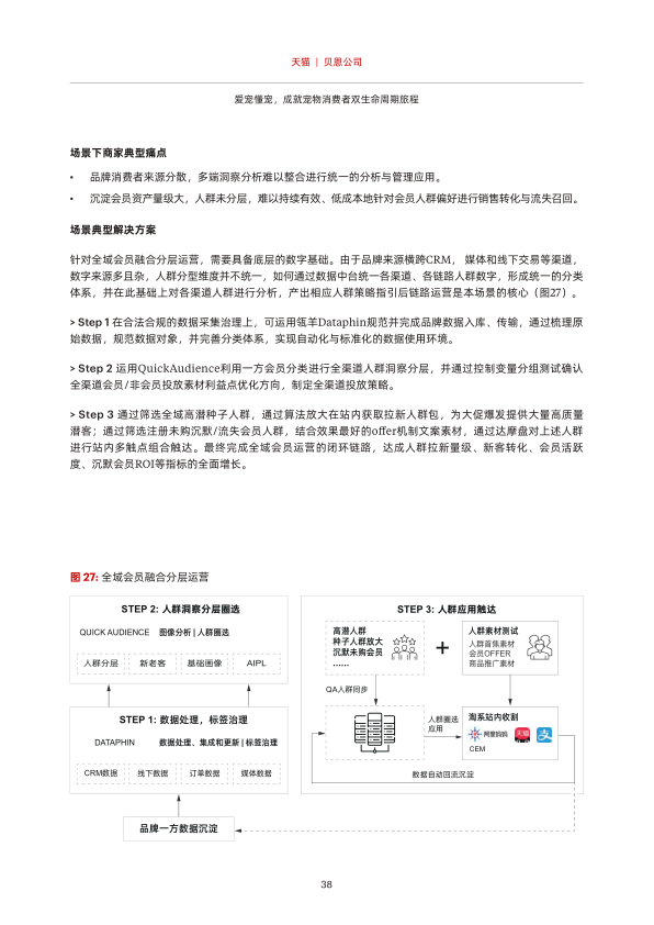 报告页面39