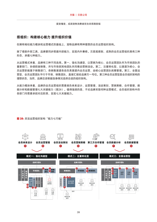 报告页面40