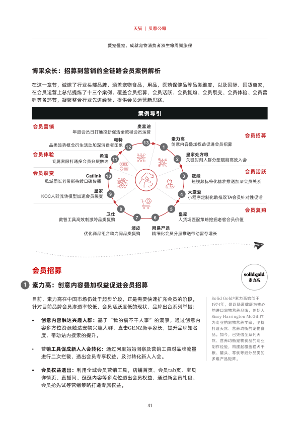 报告页面42