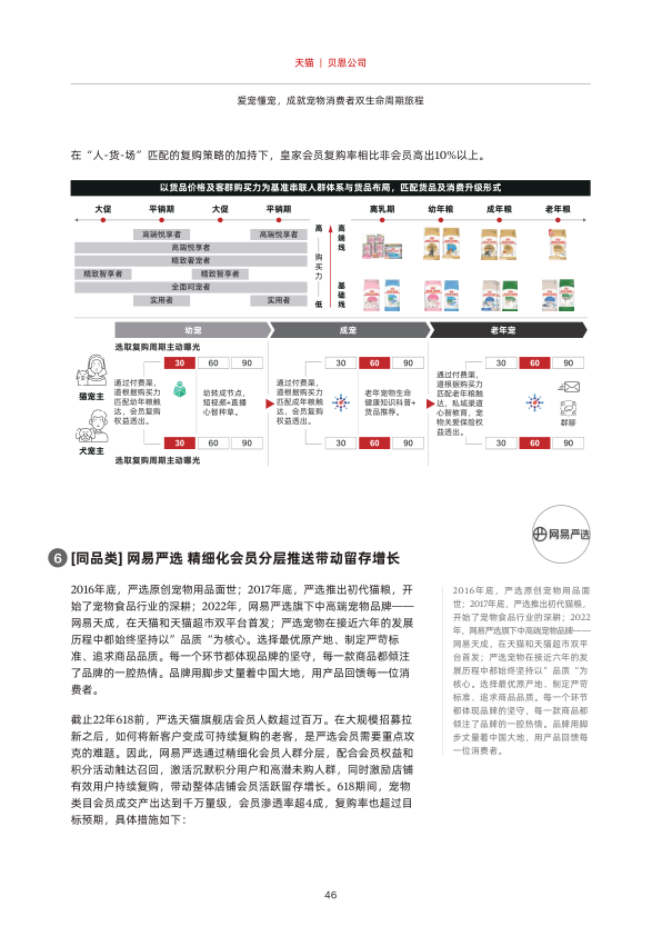 报告页面47