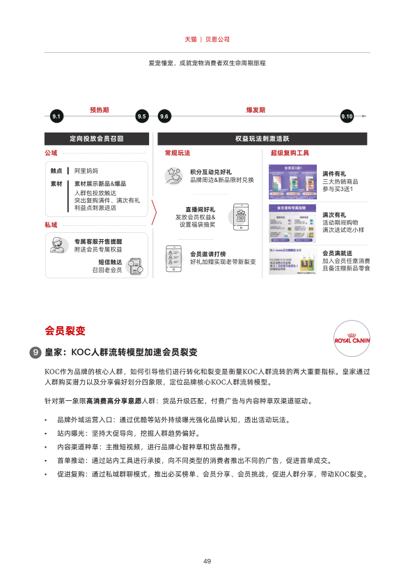 报告页面50