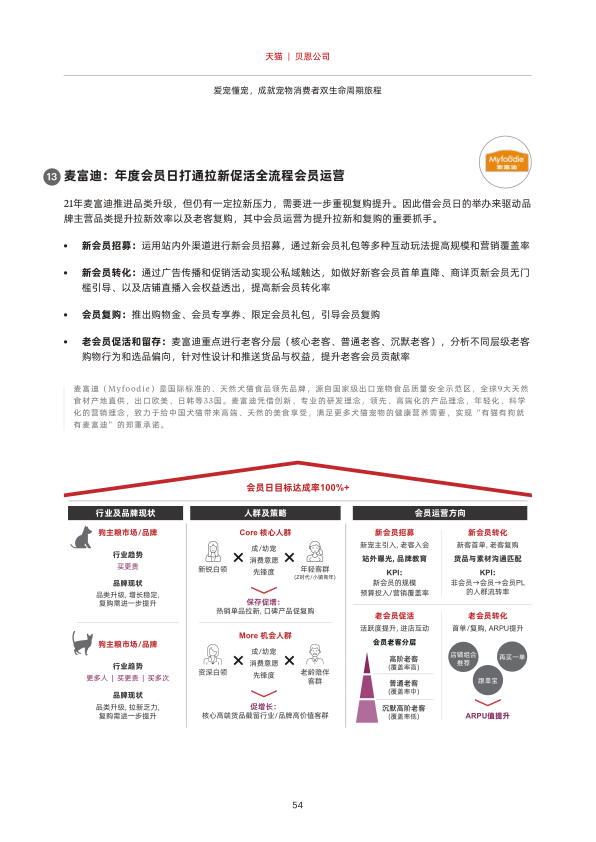 报告页面55