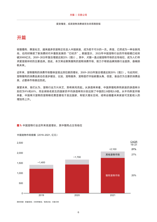 报告页面7