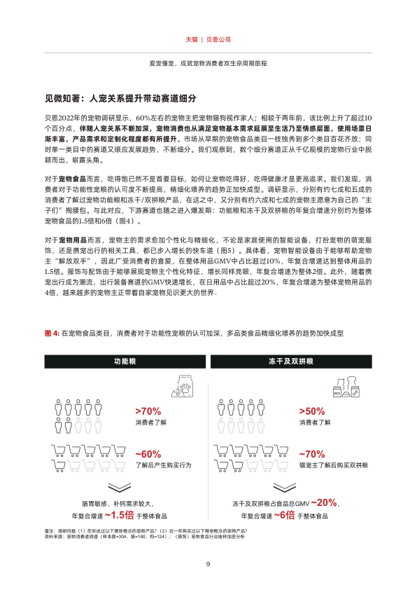 报告页面10