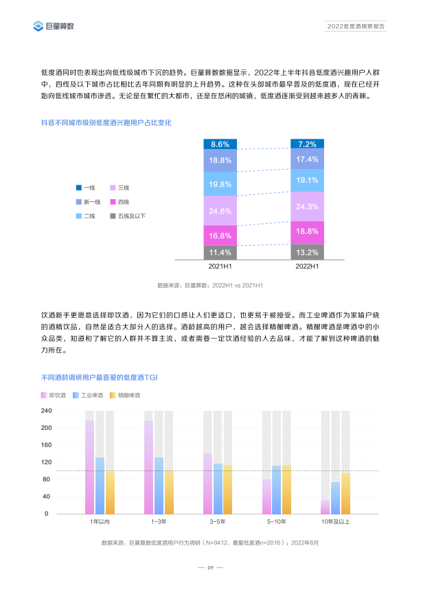 报告页面12