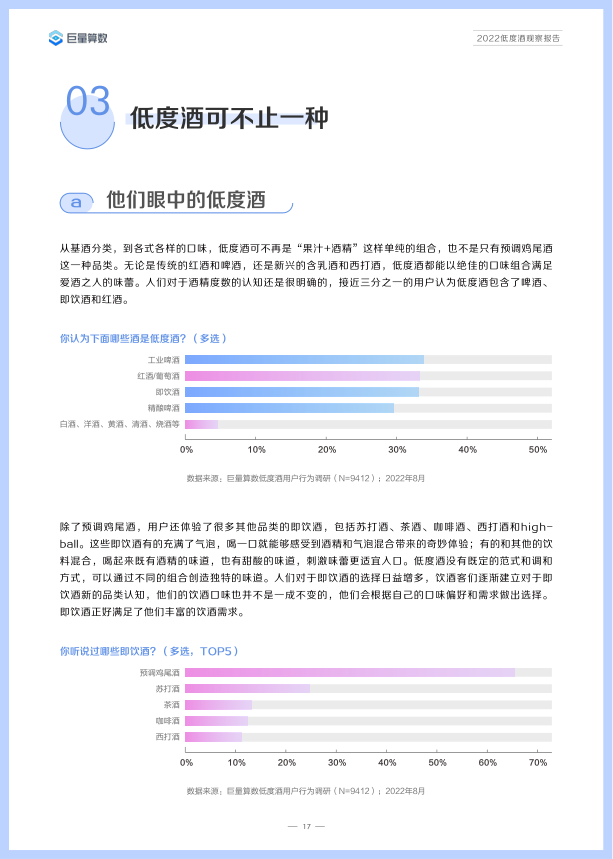 报告页面20