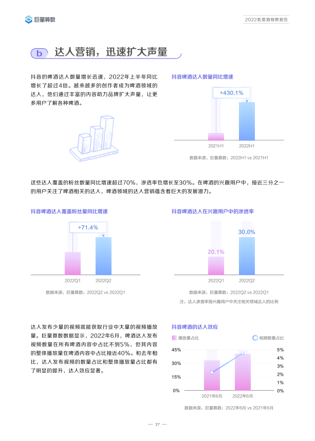 报告页面30