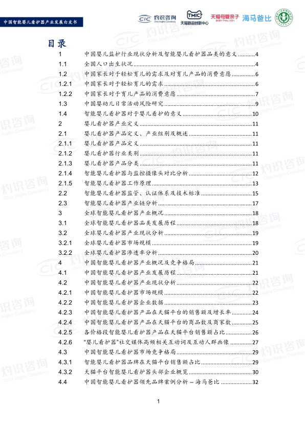 报告页面3