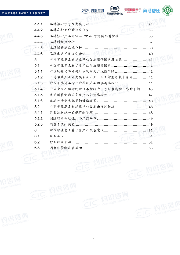 报告页面4