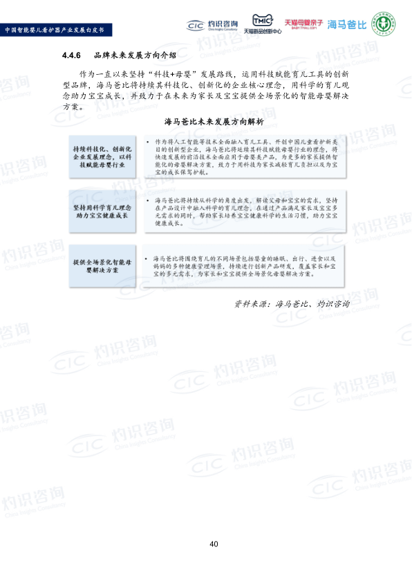 报告页面42