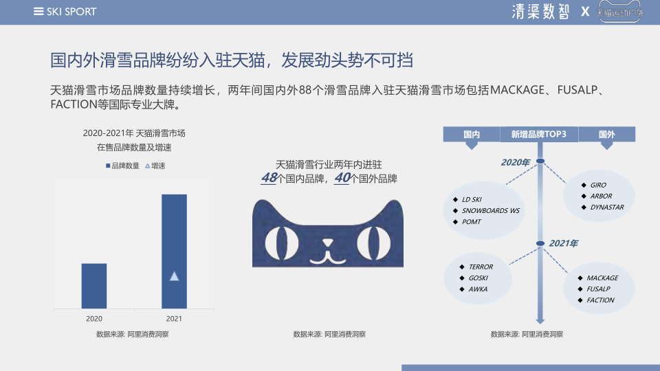 报告页面12