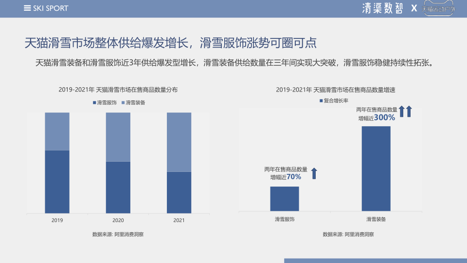 报告页面14