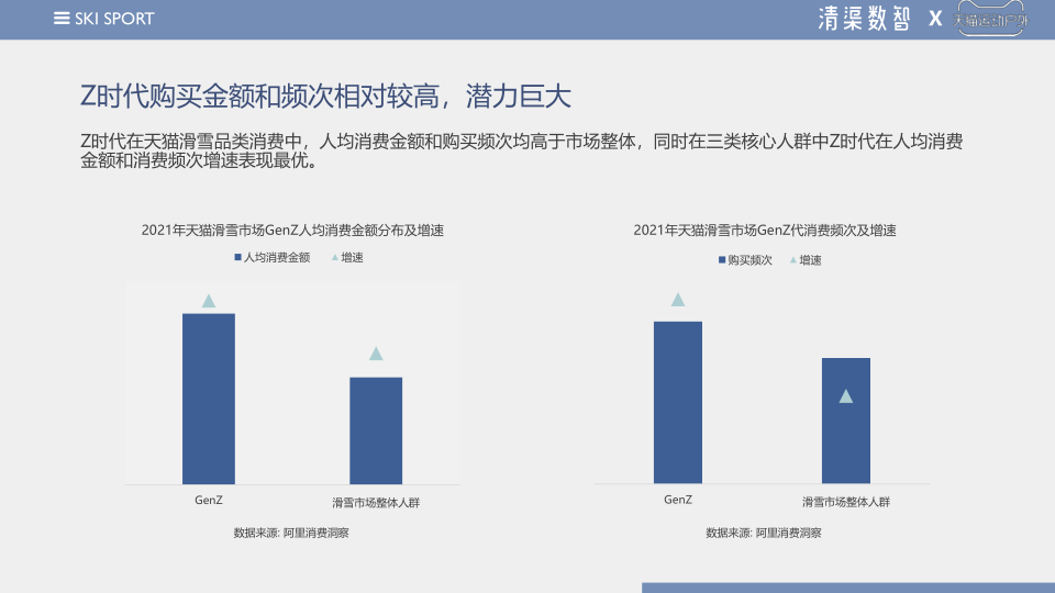 报告页面20