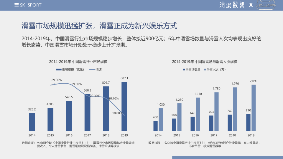 报告页面4