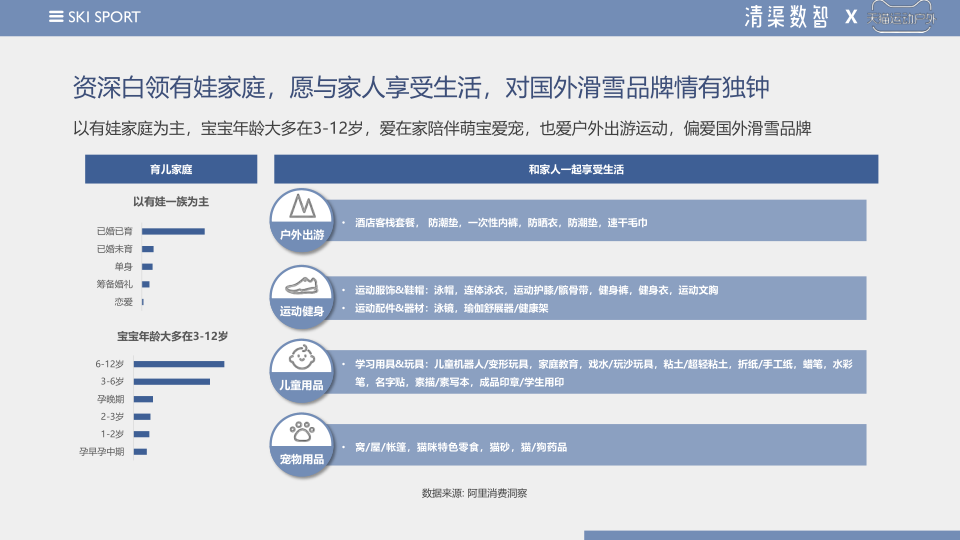 报告页面31