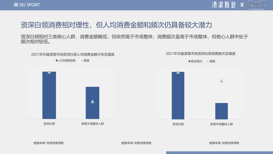 报告页面32