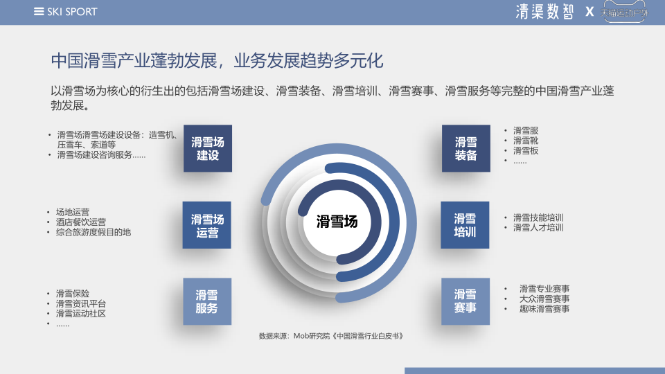 报告页面6