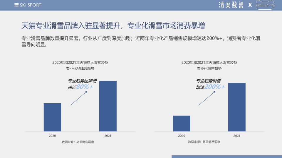 报告页面59