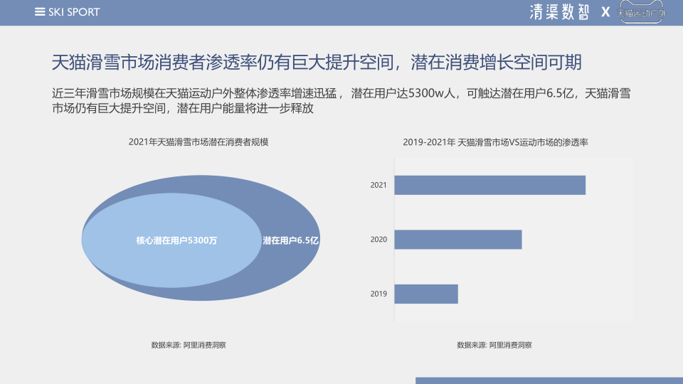 报告页面10